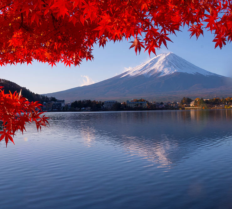 Bright red fall leaves hang over Lake Kawaguchiko on a sunny day with a view of Mount Fuji in the distance. 
