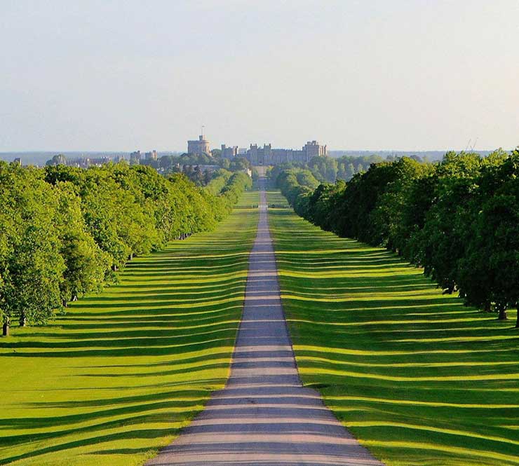 Shadows on trees and path leading up to Windsor Castle.