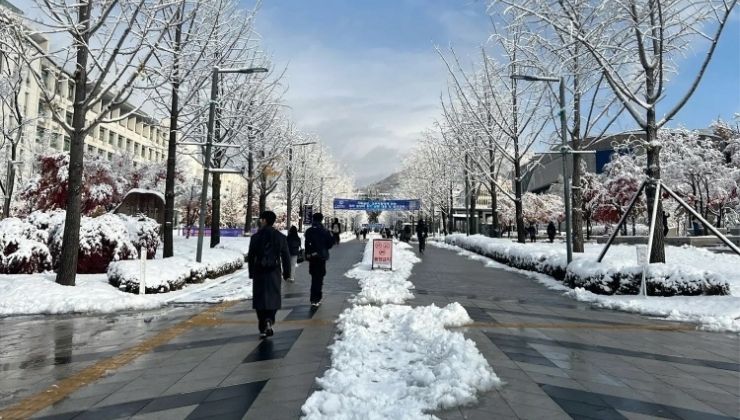 Harley Ao's view of snow in Korea