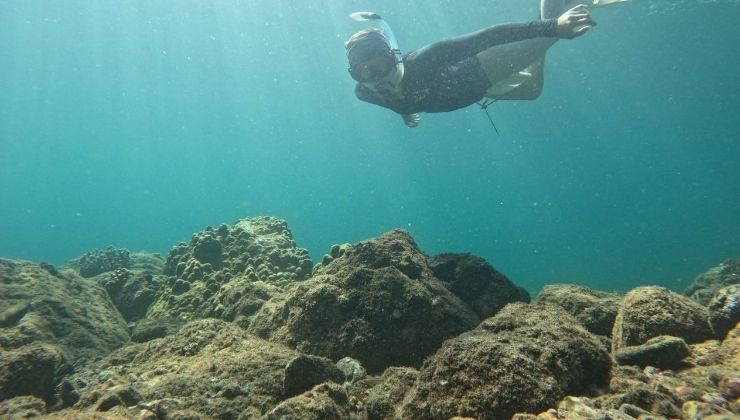 Monica Ballas snorkeling