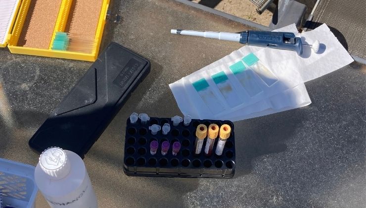 Testing equipment on a table in Sydney, Australia