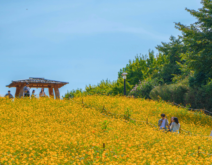 Seoul Searching: Lifelong Lessons from Studying Abroad in South Korea