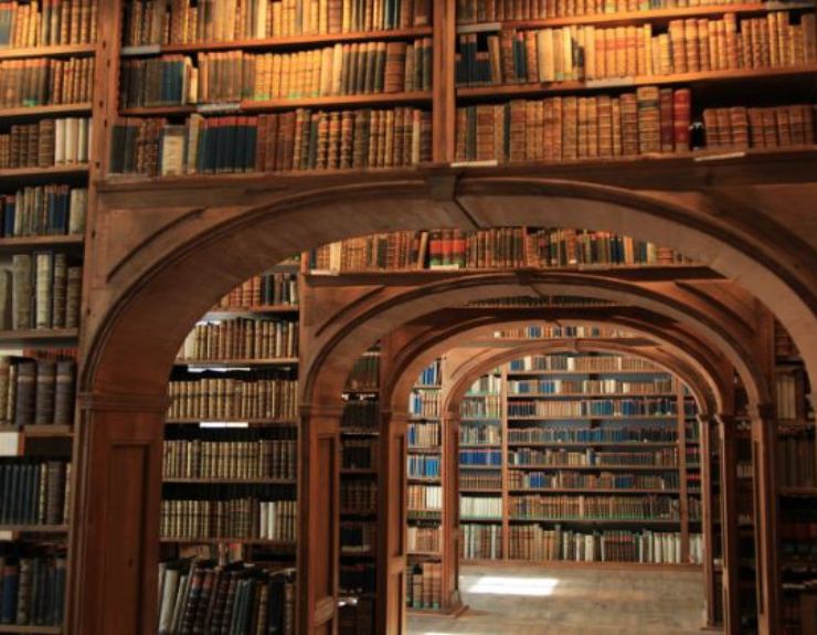 All the Things to Learn About Your Academics Abroad