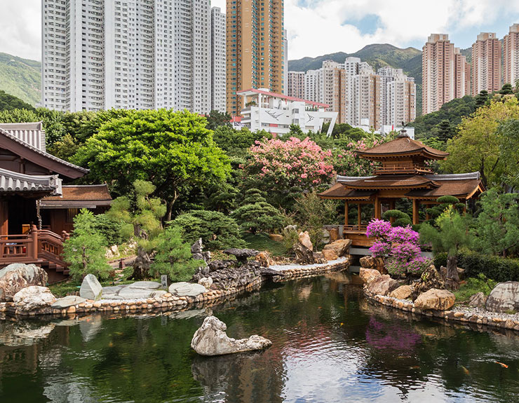 Top 5 reasons to study abroad in Hong Kong
