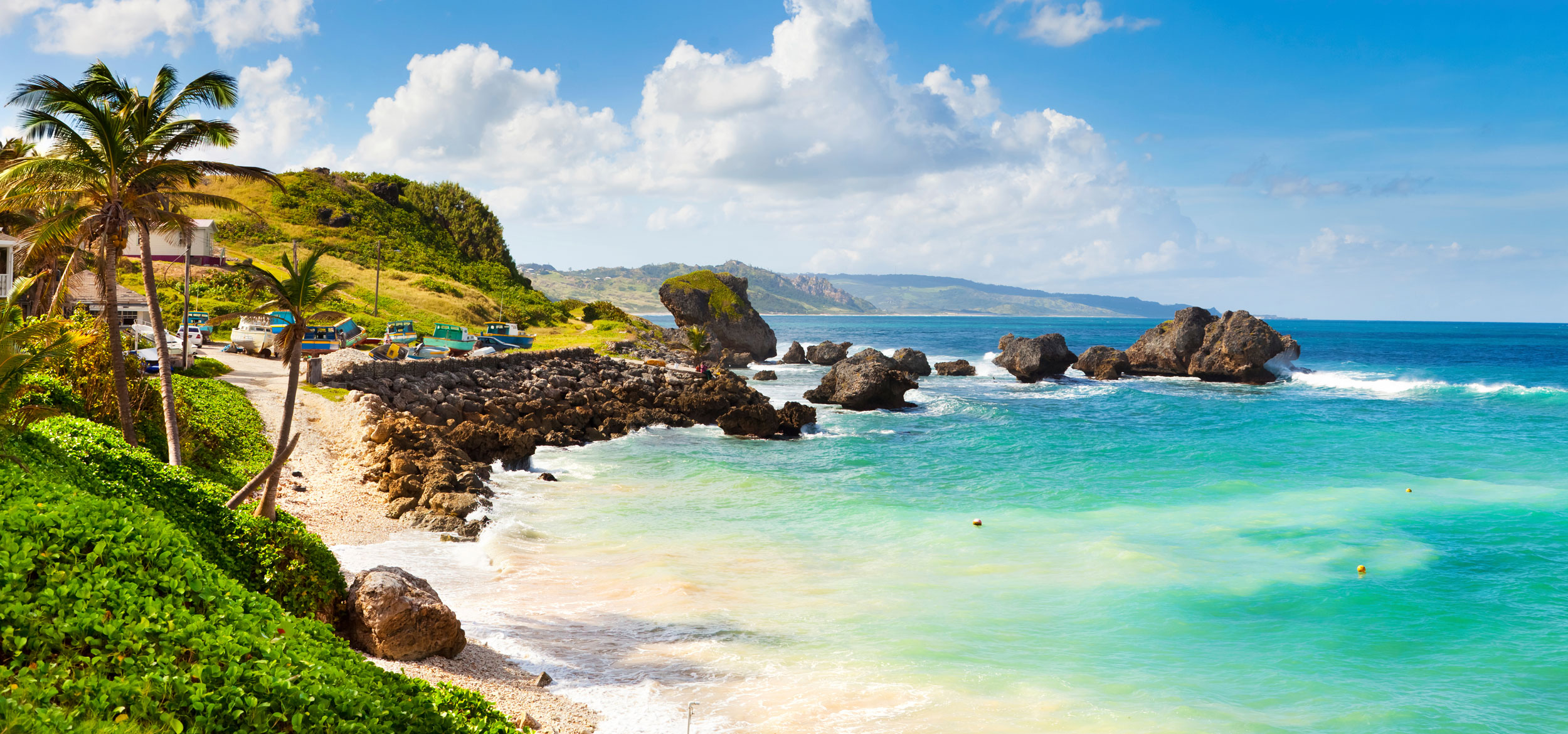 A view of a beach with turquoise water and palm trees in Bathsheba Village in Barbados. 