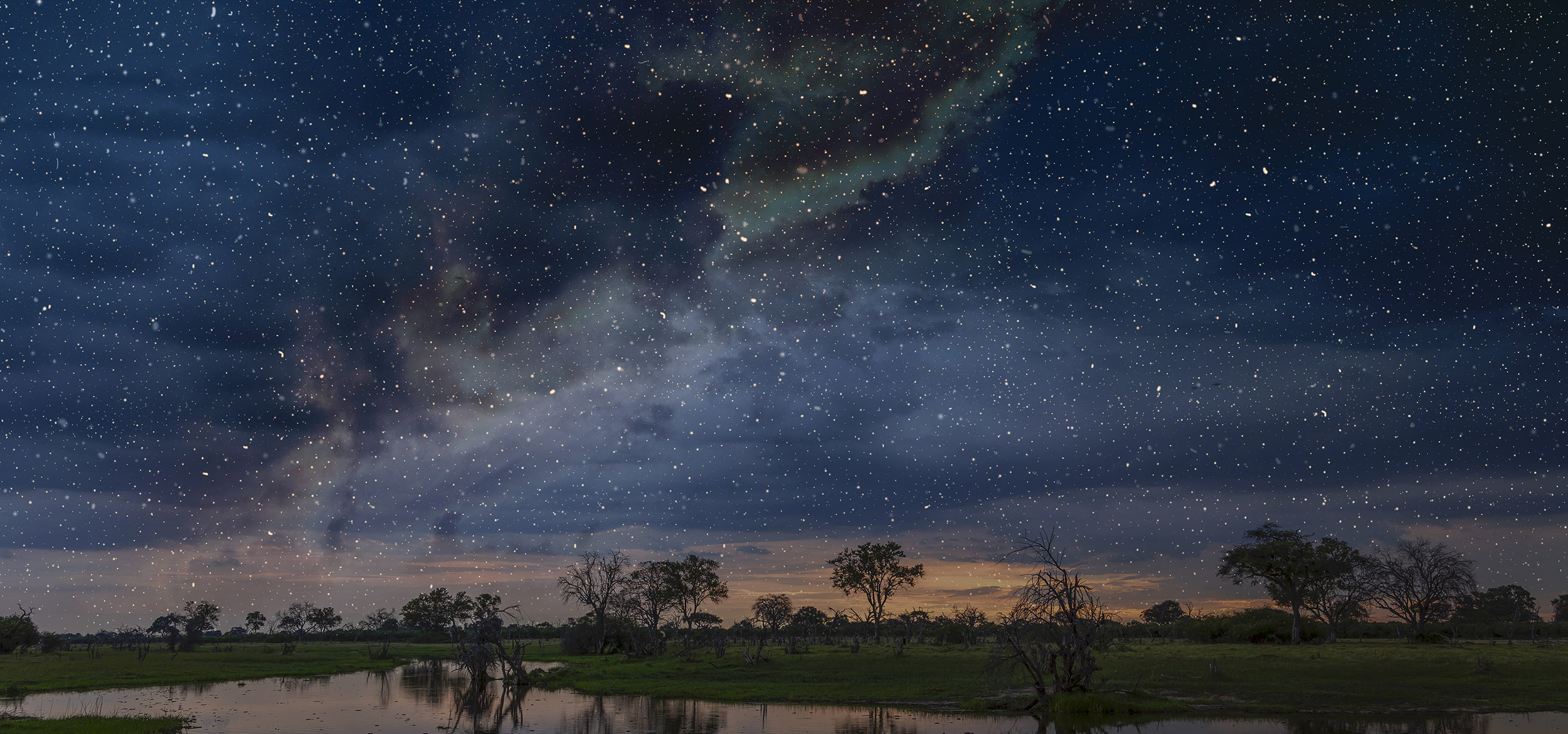 Starry night sky over swamp, Okavango Delta, Botswana, Limpopo, South Africa, Africa
