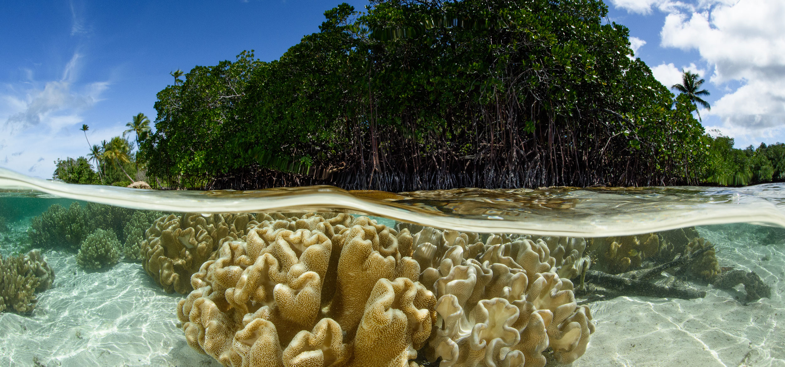 Solomon Islands