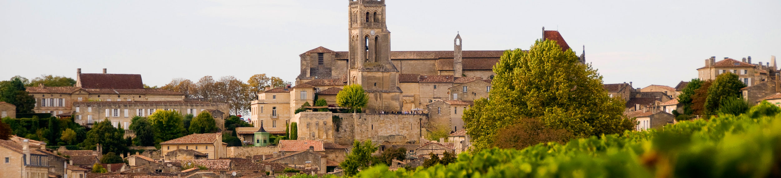 View of Saint-Émilion in Bordeaux, France. 