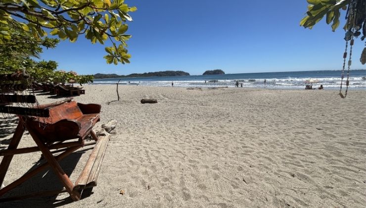 Wide shot beach, with a wooden park bench and swing, and people walking the sand in the distance.