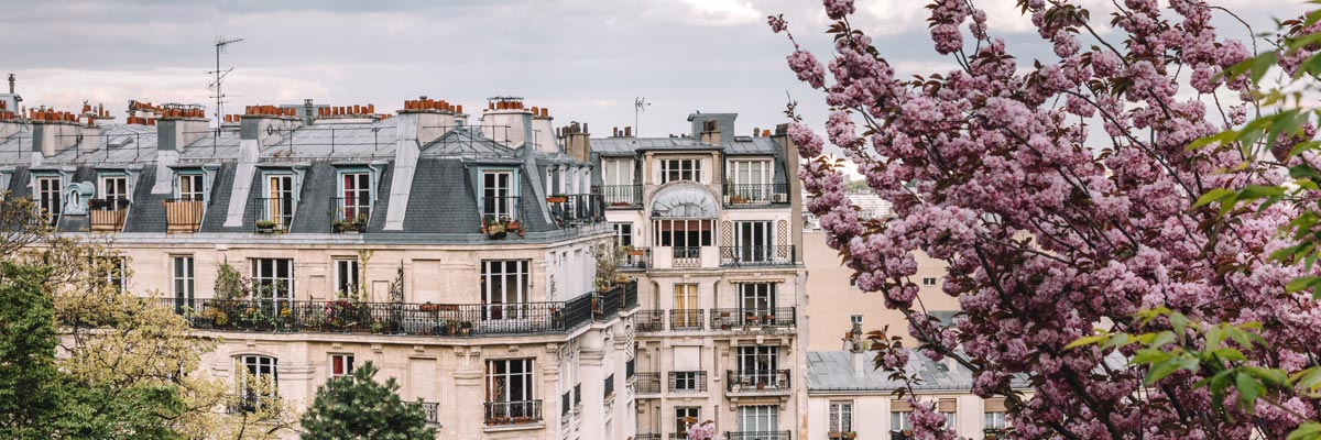 Residential buildings in Paris France. 