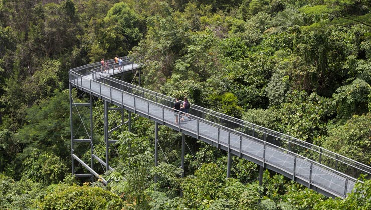 People enjoying a walk on the canopy walkway in the Southern Ridges.