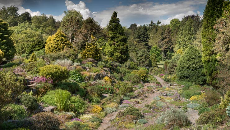 Landscape shot of St Andrews Botanic Garden in St Andrews.
