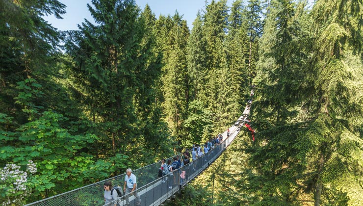 People crossing the famous Capilano suspension bridge on a sunny day.