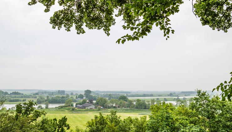 View of Belmonte Arboretum with grey overcast in Wageningen, Netherlands. 