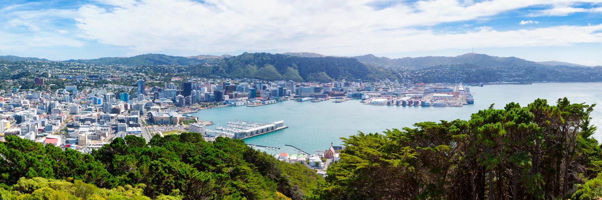 Panoramic Cityscape of Wellington, New Zealand