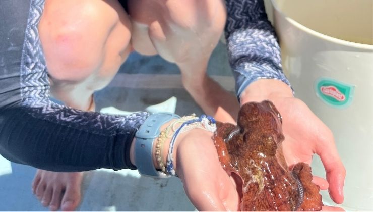 Monica Ballas holding sea creature