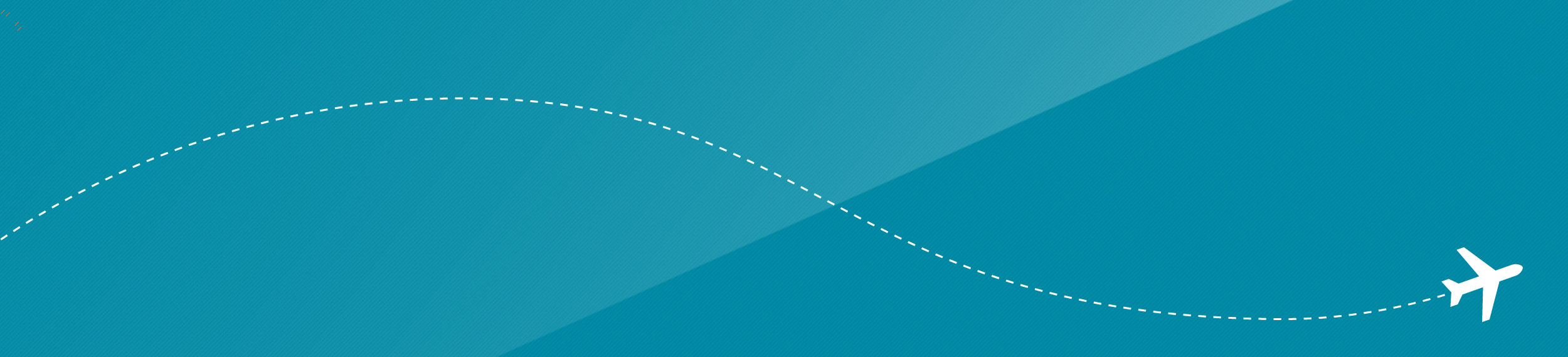 Your Next Steps banner