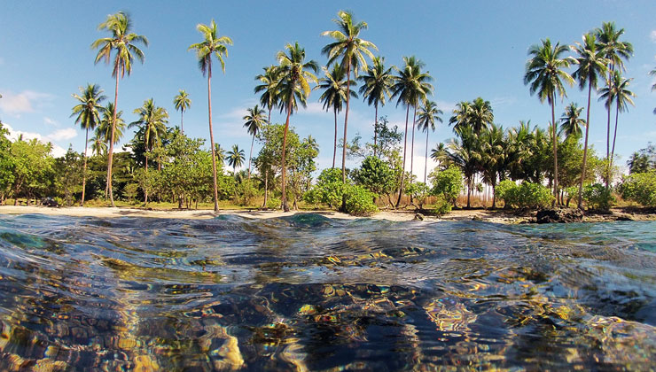 Tropical beach with clear water and palm trees on one of the islands of Solomon Islands.