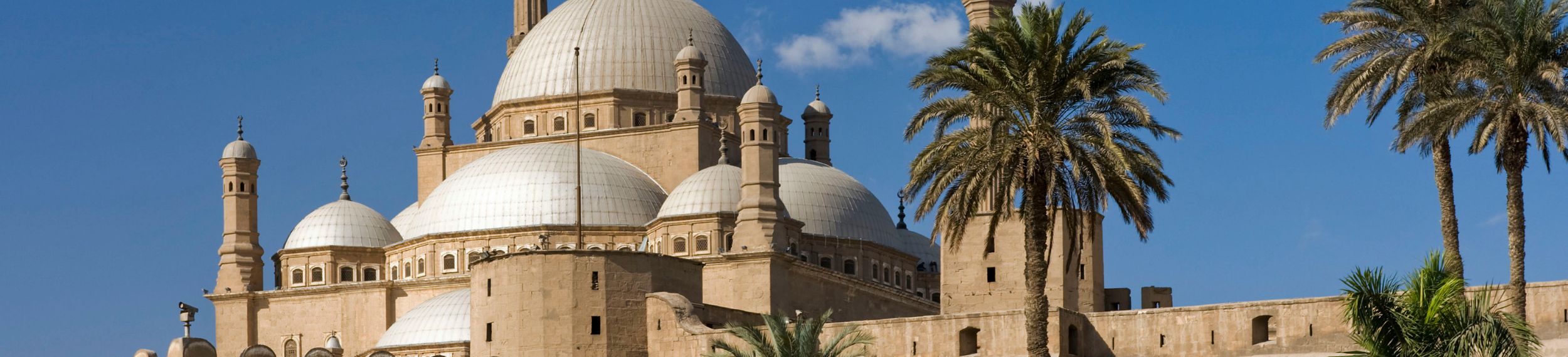 View from the ground of the Mehmet Ali Mosque in Cairo, Egypt with palm trees in front.