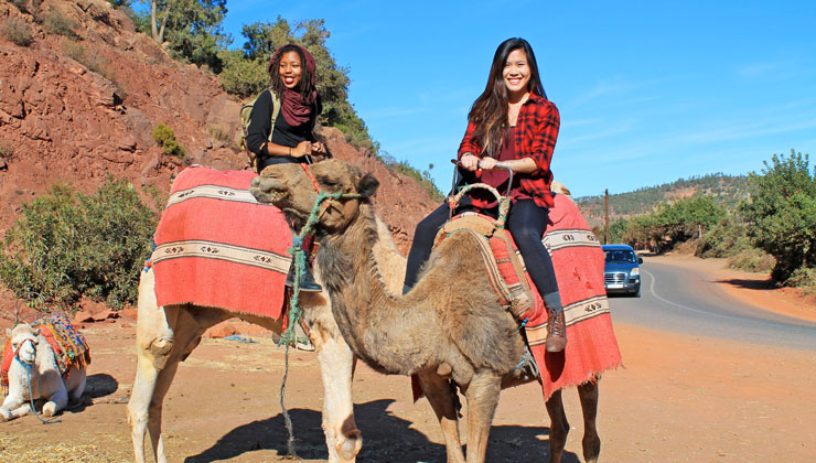 UCEAP students sitting on a camels in Rabat, Morocco. 