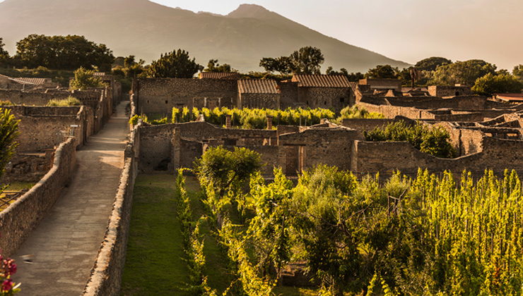 An archaeological site and vineyards in Pompeii, Italy