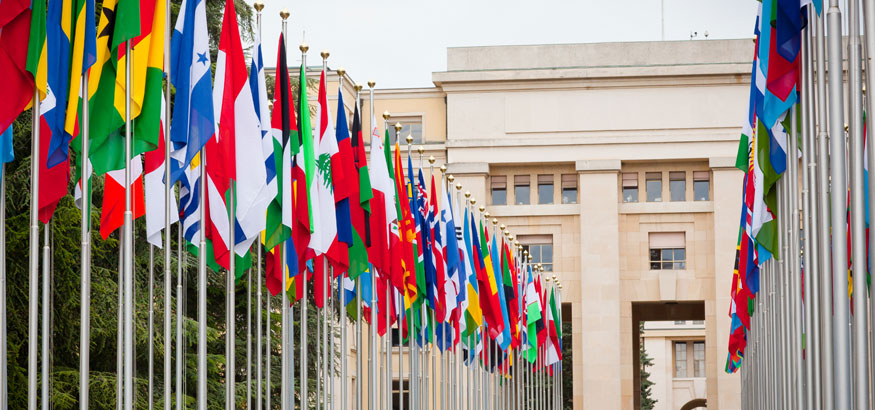Rows of national flags on the edges of the road leading to the United Nations Building in Geneva, Switzerland. a
