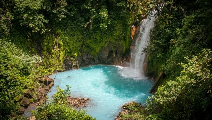 A waterfall rushes into a clear blue water pool surrounded by lush greenery in a tropical park.