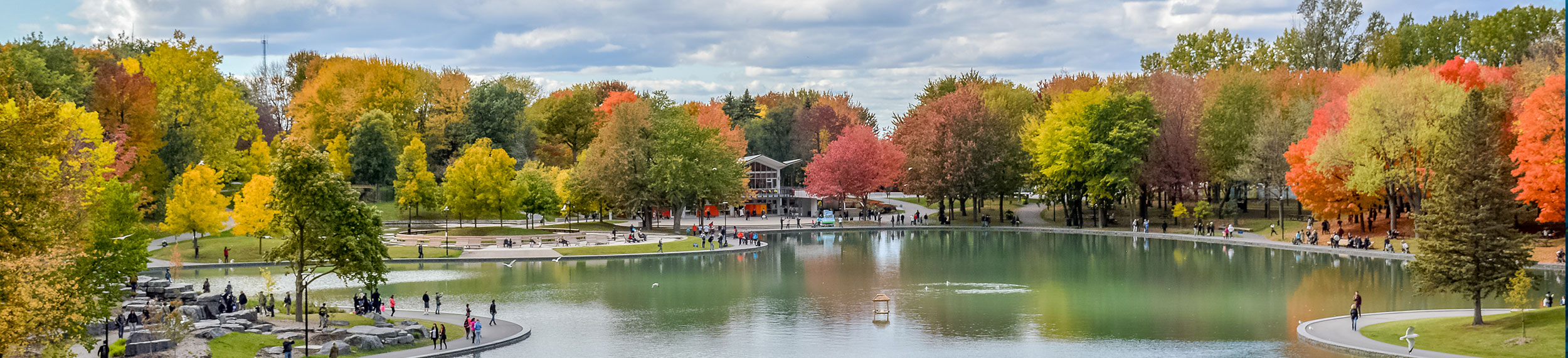 Autumn leaves near a lake in the Mount-Royal area of Montreal, British Columbia, Canada. 