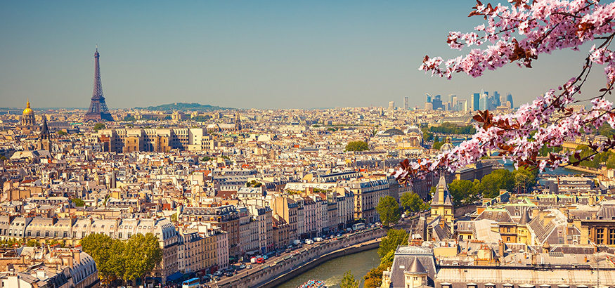 Aerial view of Paris at springtime.
