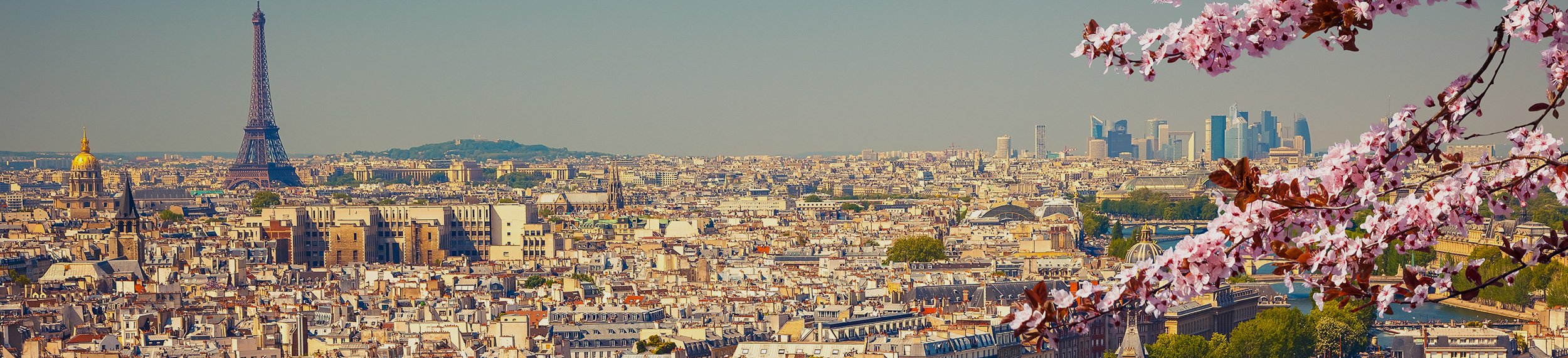 Aerial view of Paris at springtime.