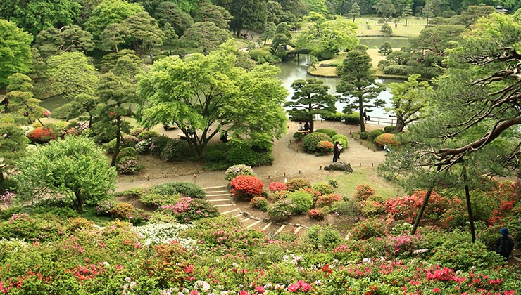 Lush green and red and pink blooms at the Rikugien Japanese garden