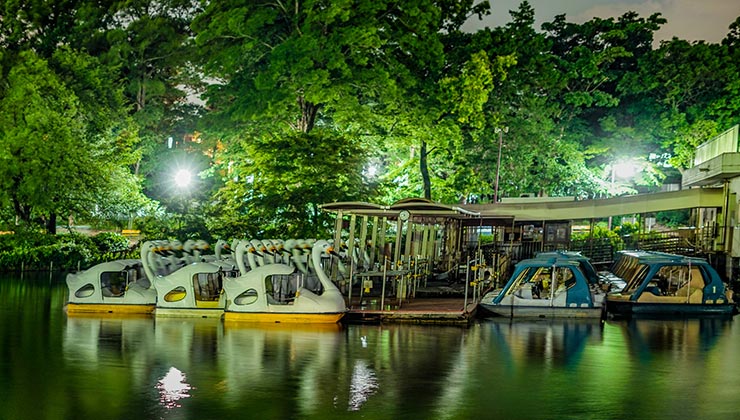 Swan boats moored at Inokashira Park at night.