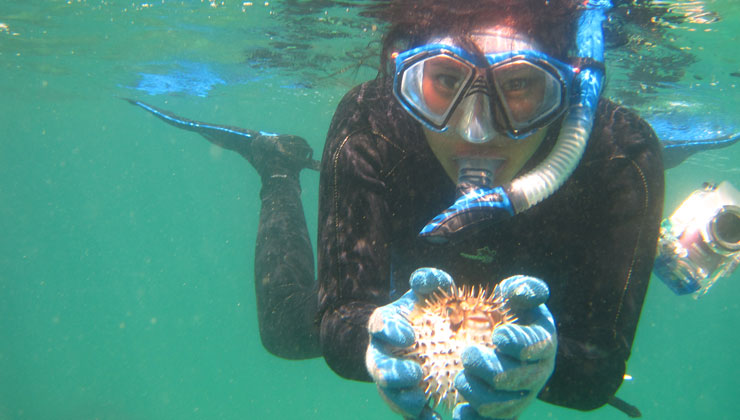 Student holding an object and snorkeling in the clear blue waters of Costa Rica.