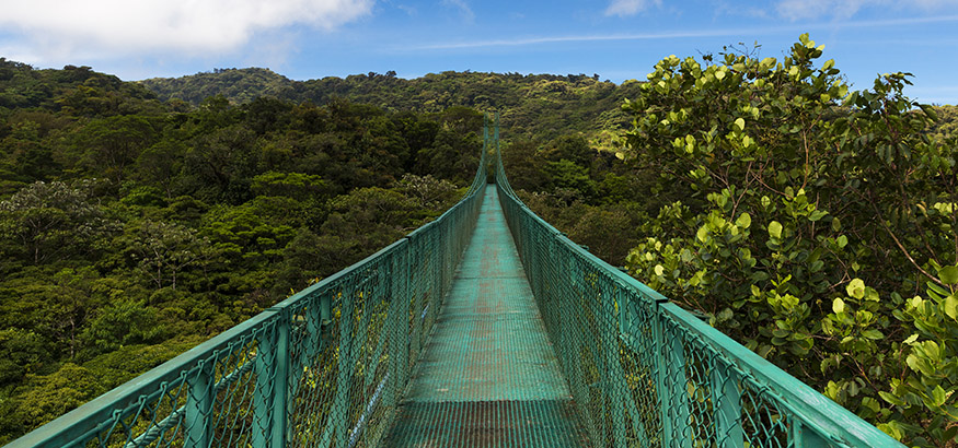 Bridge over the canopy of trees in Monteverde, Costa Rica