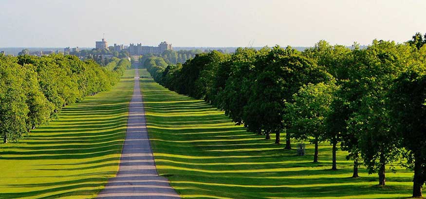 Shadows on trees and path leading up to Windsor Castle.