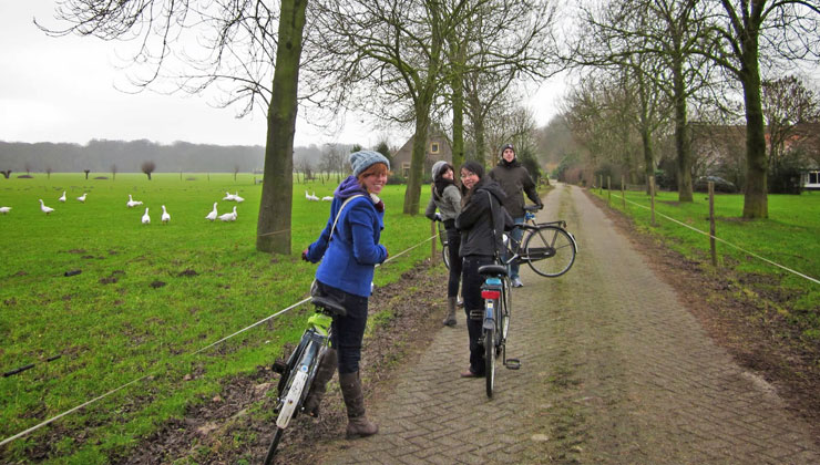 students biking on a dirt path in Utrecht, Netherlands. 