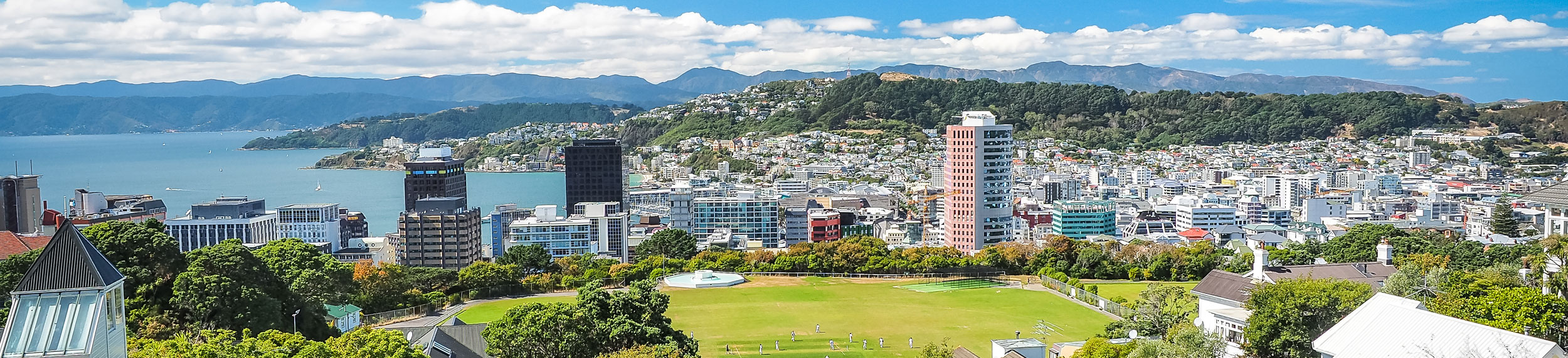 A view of the city with tall buildings, the water and a green lawn in Wellington, New Zealand.