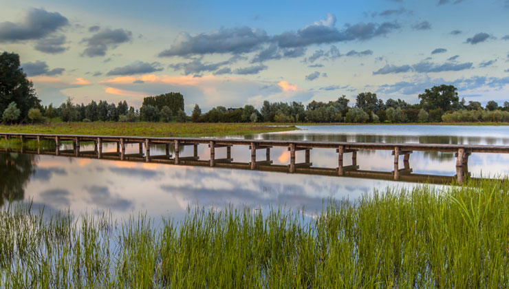 View of a long wooden footbridge over a lake with lush green grass around it at sunset in Wageningen, Netherlands. 