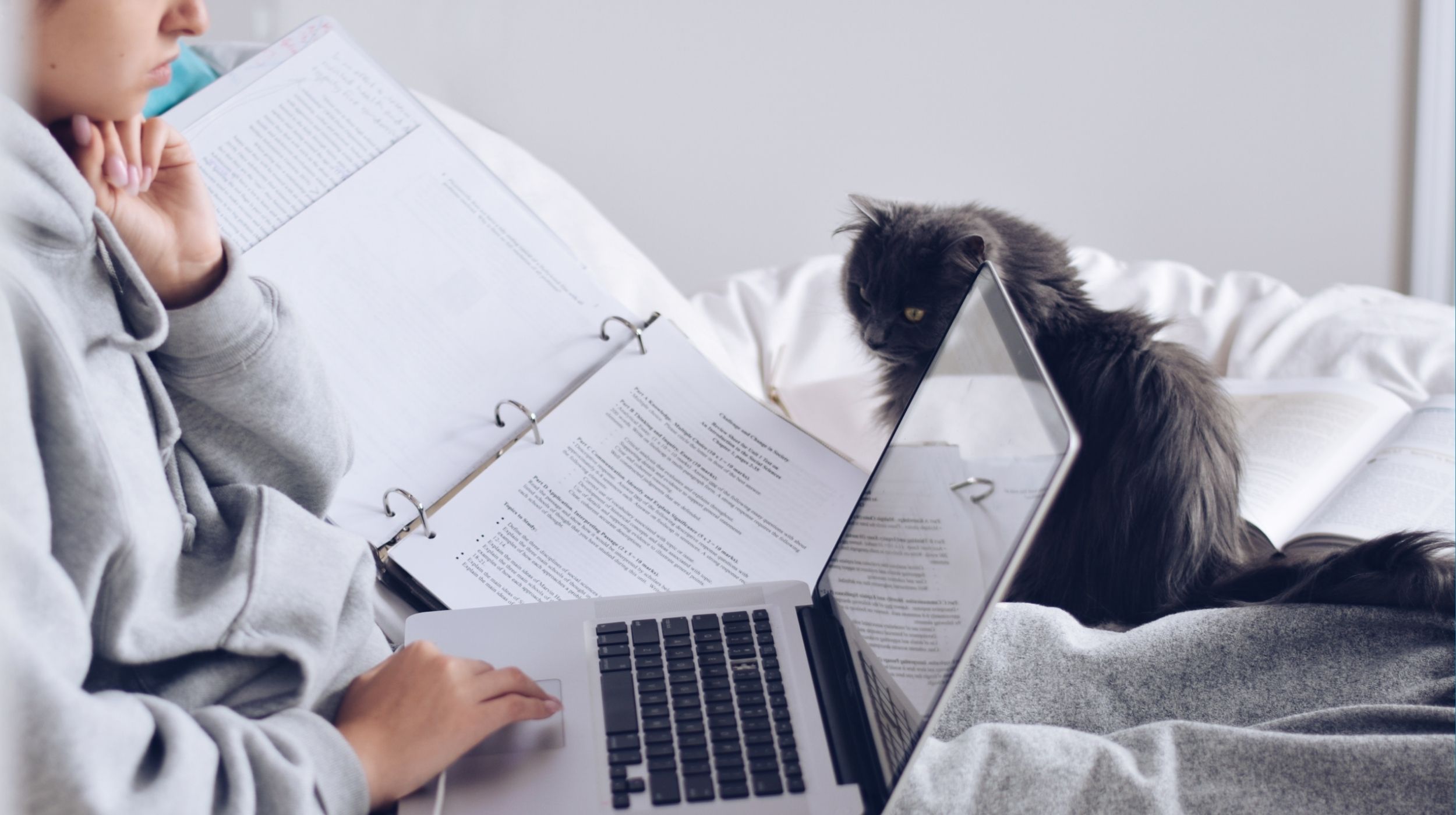 Student studying the study abroad timeline with cat