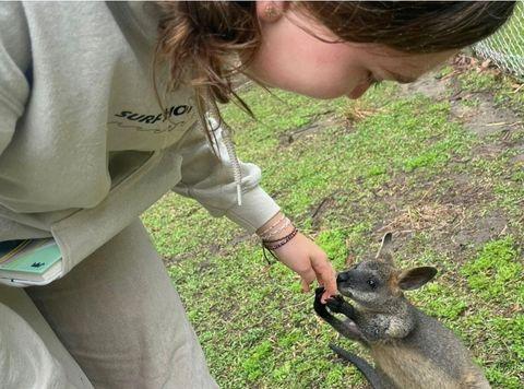Svea Peterson on internship in Sydney, Australia feeding a baby kangaroo