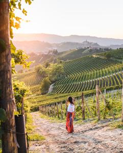 <p>Vineyard trip including wine tasting, production lecture, and lunch</p>