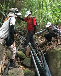 <p>Weeklong bio field trip on the tropical Tioman Island</p>
