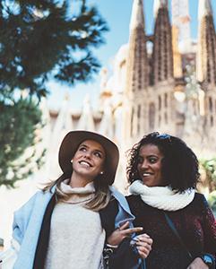 <p> Buddy programs and language exchanges</p>