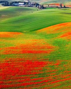 <p>Excursions outside Prague to the Bohemian or Moravian region</p>