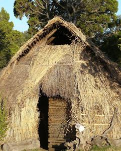 <p>Trip to an indigenous Mapuche house</p>
