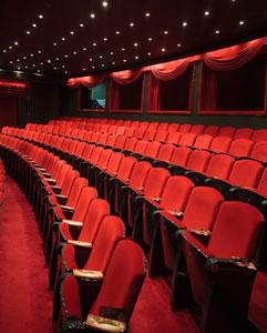 <p>Theater and cinema nights</p>
