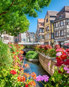 <p>Day trips to popular French towns like Reims, Colmar, and Nancy</p>