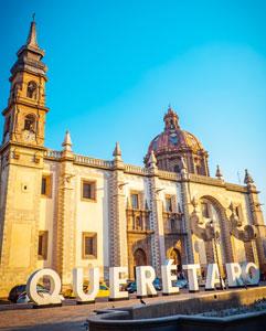 <p>Vineyard experience in <em>Querétaro</em></p>