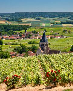 <p><span class="value">Trip to the Champagne region</span></p>
