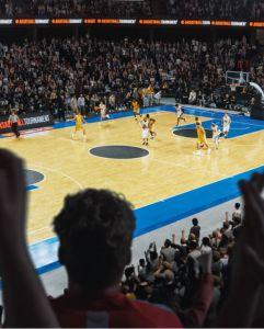 <p><span class="value">Attend a basketball game</span></p>